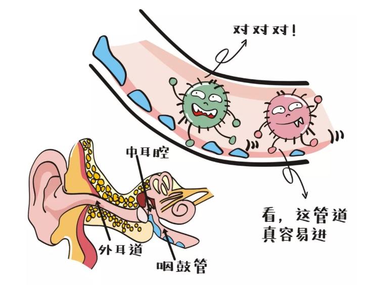 游泳耳朵防水技巧_防水游泳耳朵技巧视频_游泳防耳朵进水的装备