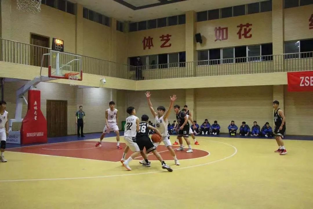龙泉篮球培训学校_龙泉二中篮球队_龙泉高中篮球赛冠军