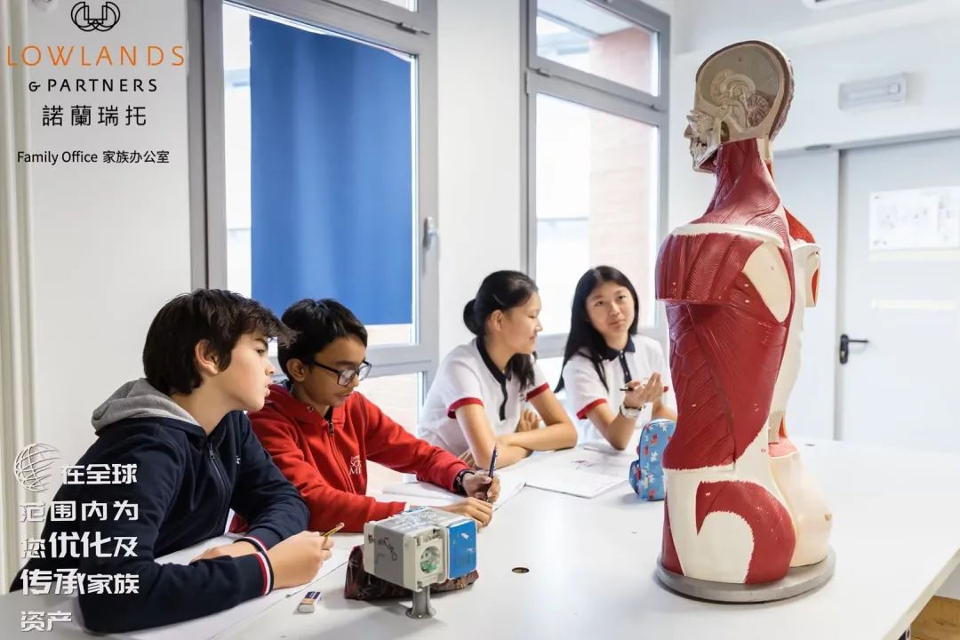 篮球联赛国外规则表分组图_国外篮球联赛有哪些_国外篮球联赛分组规则表
